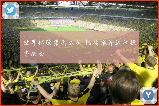 世界杯股票怎么买 机构推荐这些投资机会