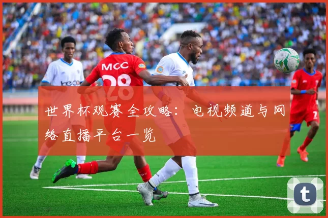 世界杯观赛全攻略:电视频道与网络直播平台一览