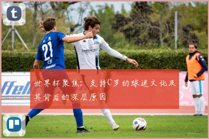 世界杯聚焦：支持C罗的球迷文化及其背后的深层原因