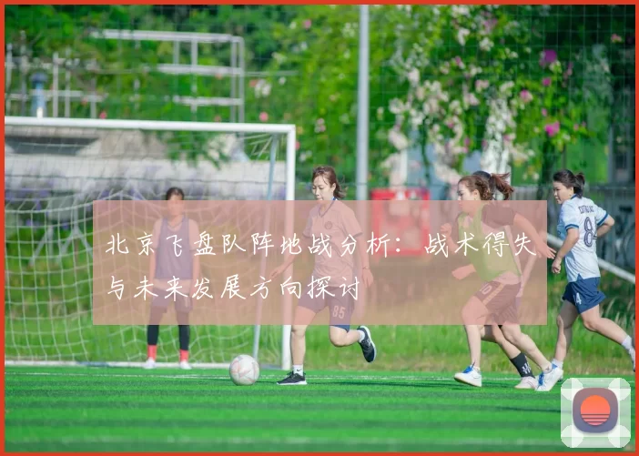 北京飞盘队阵地战分析：战术得失与未来发展方向探讨