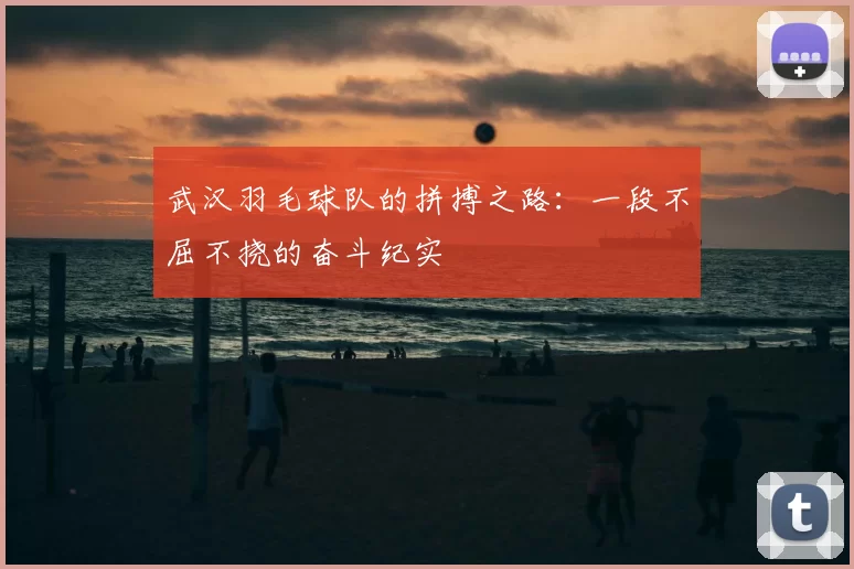 武汉羽毛球队的拼搏之路：一段不屈不挠的奋斗纪实