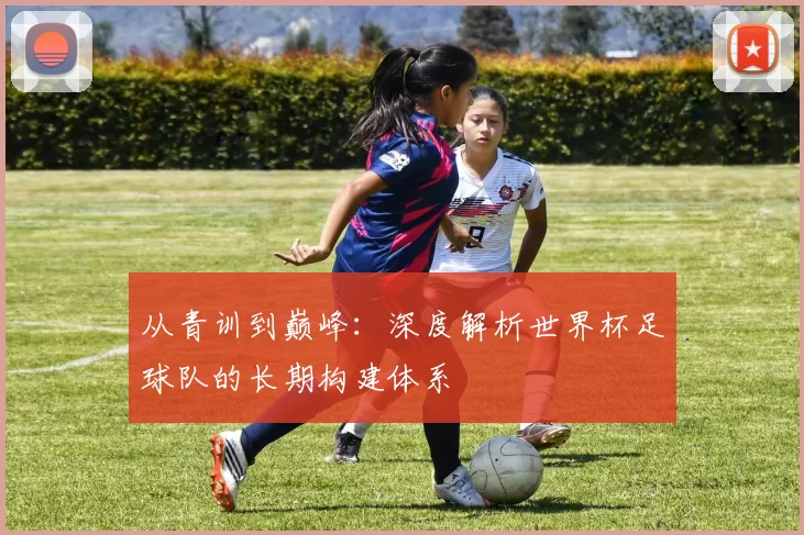从青训到巅峰:深度解析世界杯足球队的长期构建体系