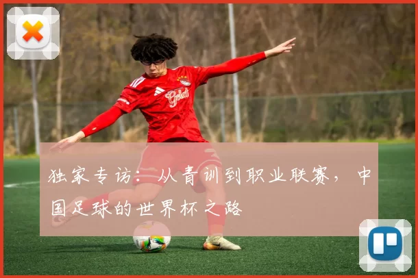 独家专访：从青训到职业联赛，中国足球的世界杯之路