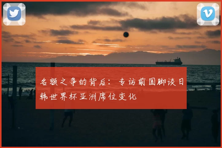 名额之争的背后：专访前国脚谈日韩世界杯亚洲席位变化