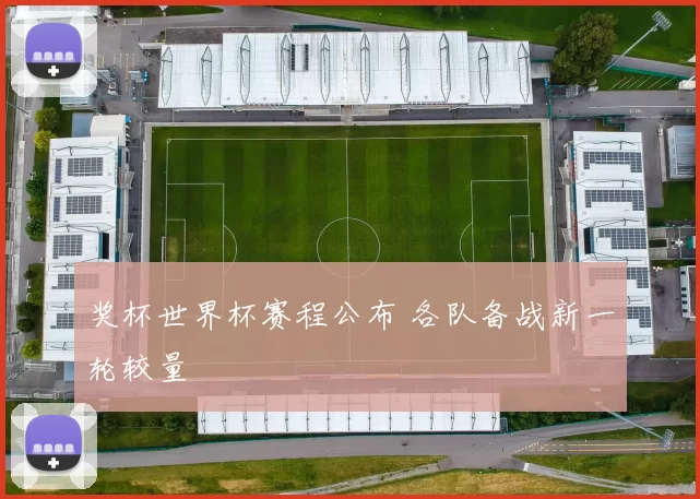 奖杯世界杯赛程公布 各队备战新一轮较量