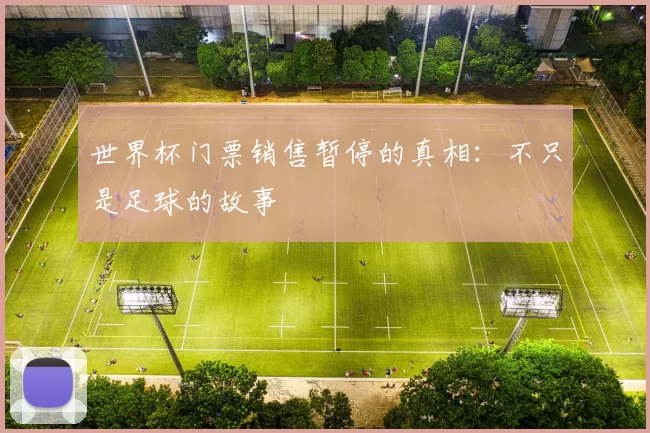 世界杯门票销售暂停的真相：不只是足球的故事