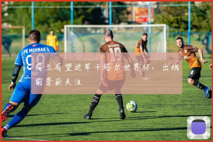 荷兰有望进军卡塔尔世界杯,出线前景获关注