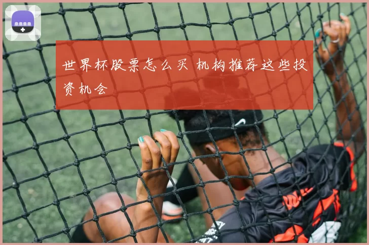 世界杯股票怎么买 机构推荐这些投资机会